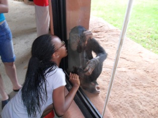 JHB Zoo 2 JHB Zoo 2